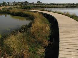 Constructed Wetlands are an Amazing Resource